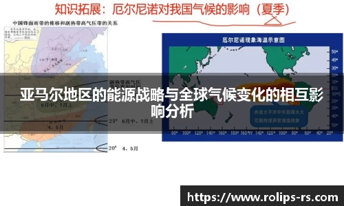 333体育官网登录